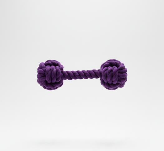 Purple Rope Dog Toy